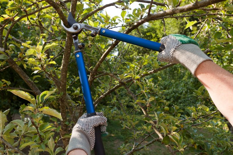 Pruning Tools in Action