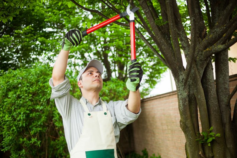 Independent Tree Trimmers
